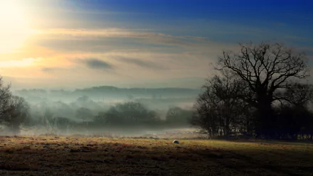 HD PC desktop wallpaper and background: foggy nature landscape at sunrise, mist-shrouded fields with a distant tree line and a lone bare tree.