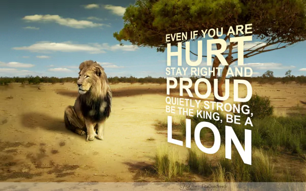 HD desktop wallpaper featuring a lion in a desert-like landscape with an inspirational quote: Even if you are HURT, stay right and PROUD, quietly strong, be the KING, be a LION.