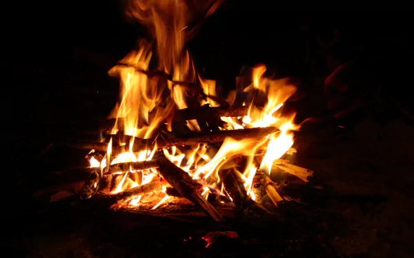 4K Ultra HD photography of a glowing campfire: orange flames and stacked logs on a black background — fire-themed PC desktop wallpaper and background.