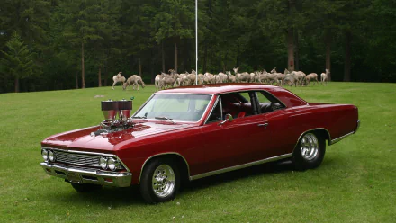 vehicle Chevrolet HD Desktop Wallpaper | Background Image