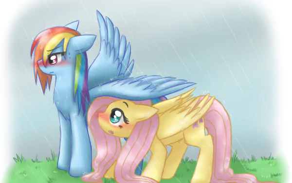 A vibrant HD wallpaper featuring Rainbow Dash and Fluttershy from *My Little Pony: Friendship Is Magic*, showcasing their strong bond amidst a rainy backdrop.