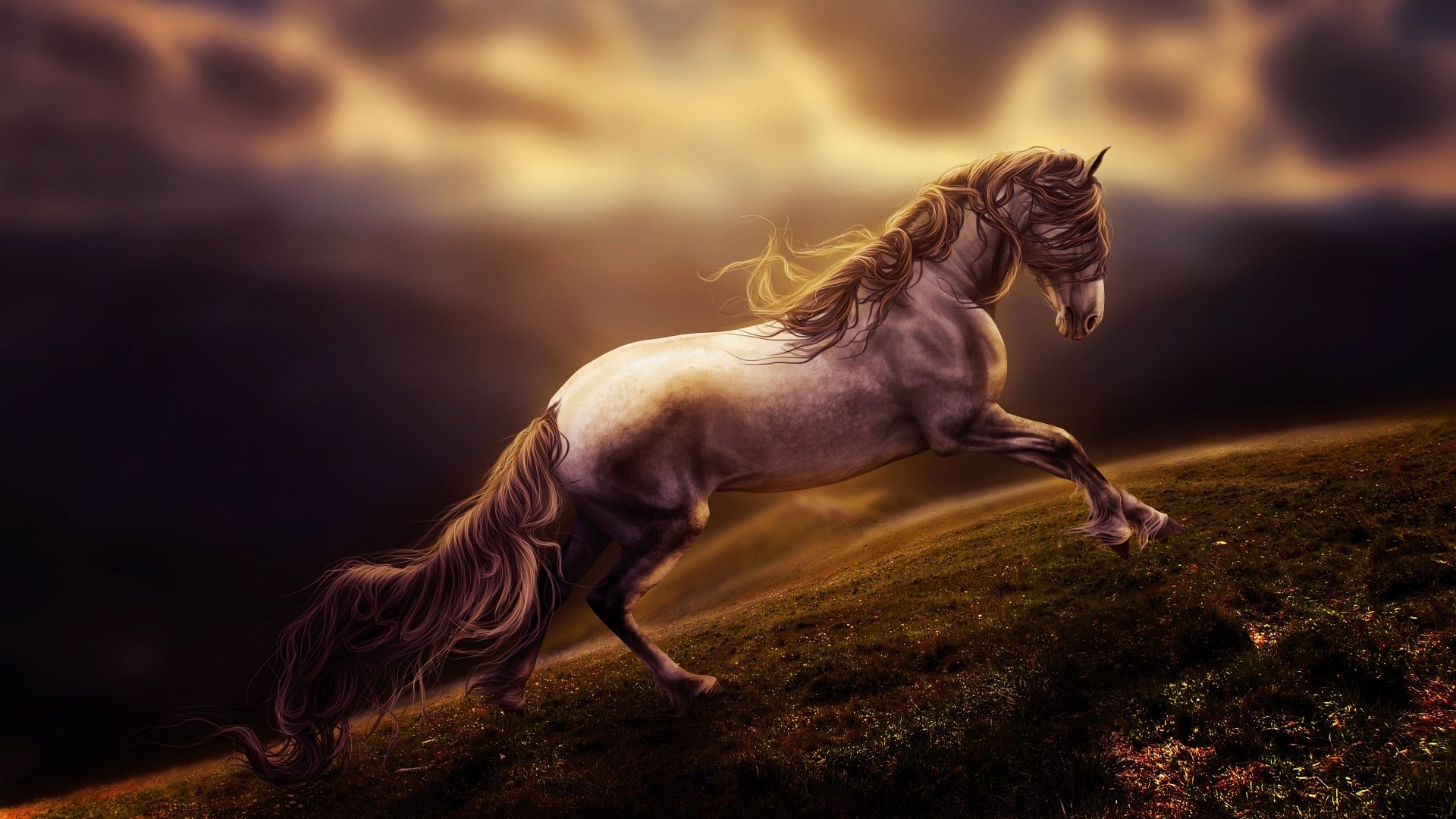 Download Animal Horse 4k Ultra Hd Wallpaper