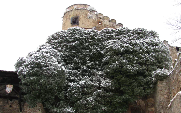 man made Chojnik Castle HD Desktop Wallpaper | Background Image