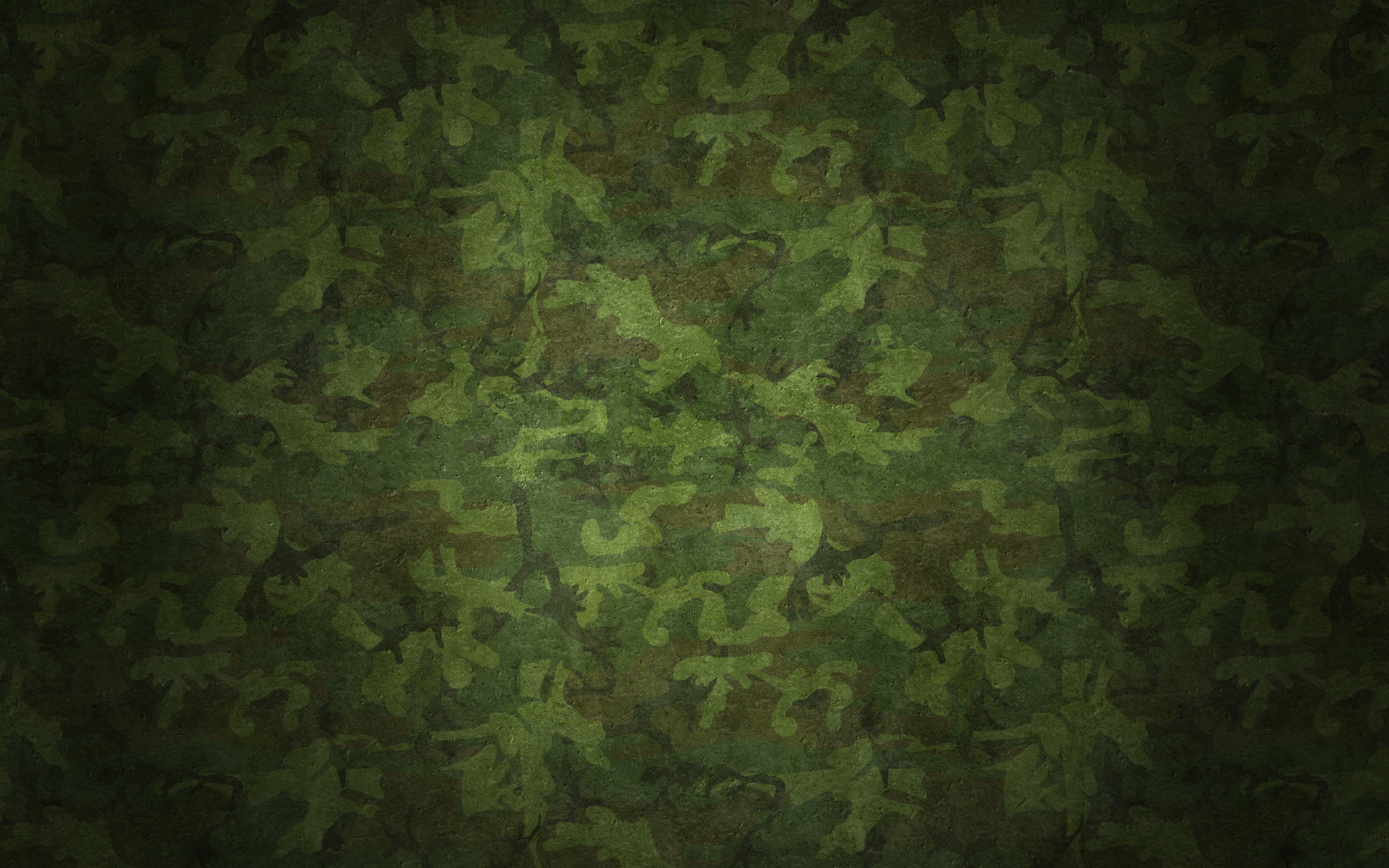 Camouflage HD Wallpaper | Background Image | 2560x1600