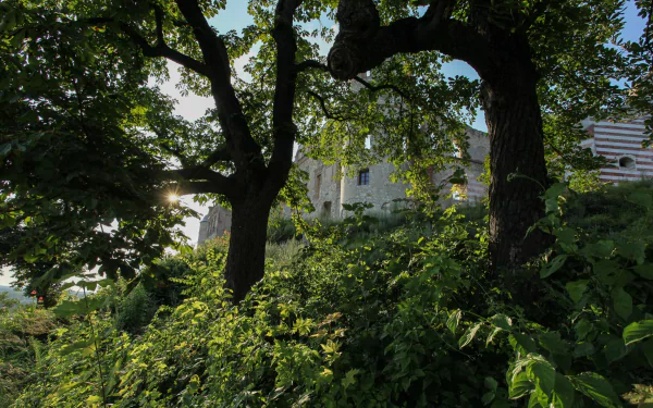 man made Janowiec Castle HD Desktop Wallpaper | Background Image