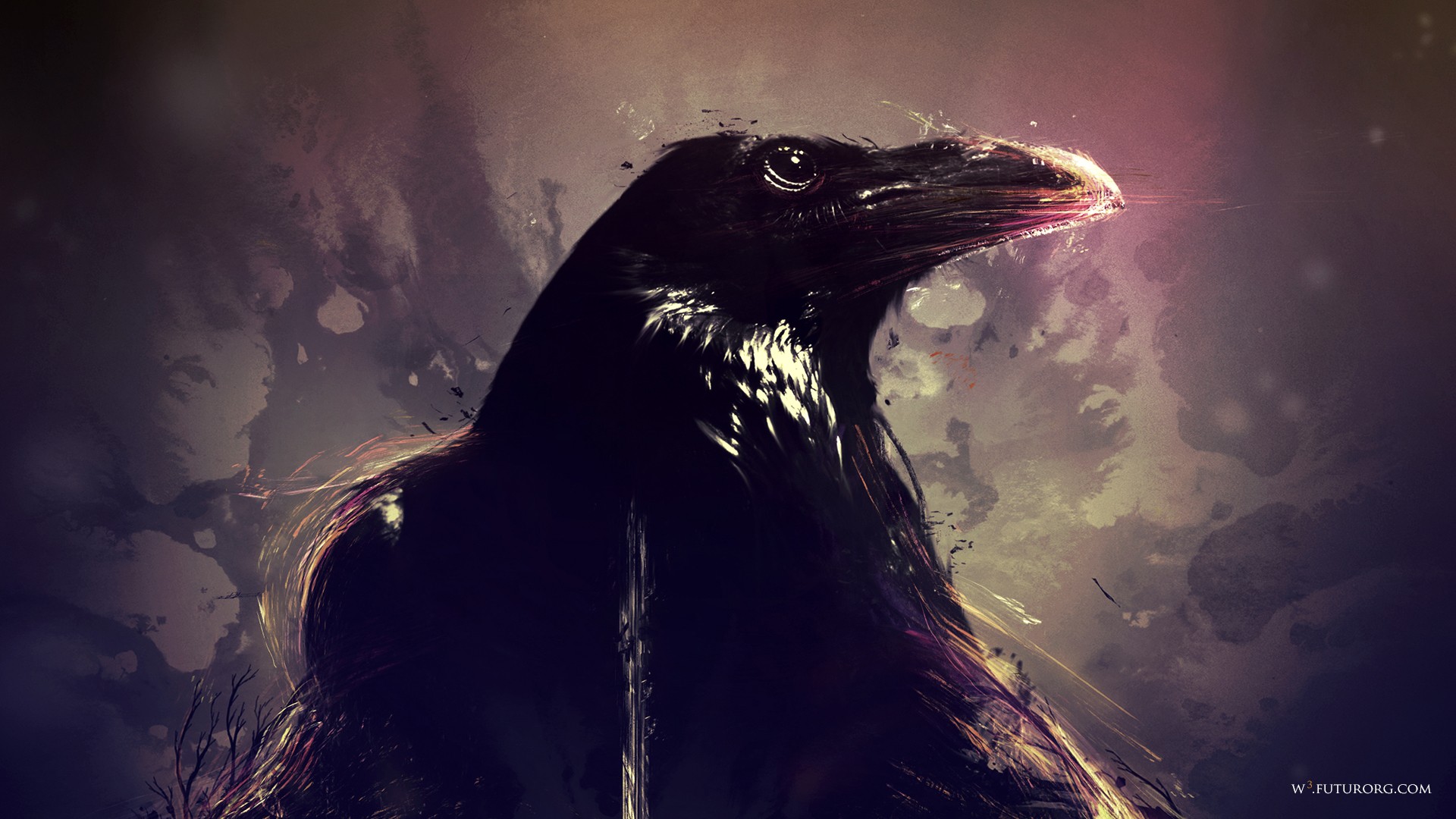 Animal Crow HD Wallpaper | Background Image