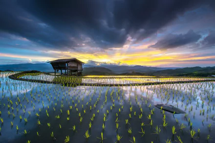 photography HDR HD Desktop Wallpaper | Background Image