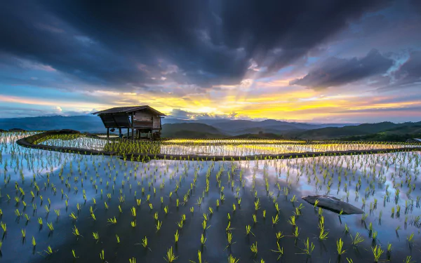 photography HDR HD Desktop Wallpaper | Background Image