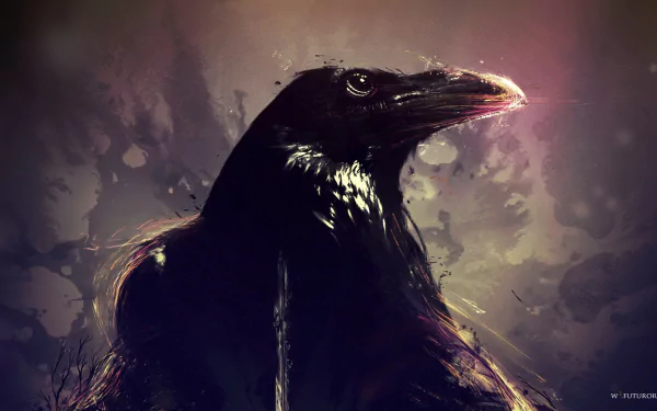 Animal crow HD Desktop Wallpaper | Background Image