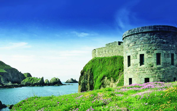 HD desktop wallpaper showing the man-made Fort Clonque surrounded by green cliffs and a vibrant flower-covered foreground under a clear blue sky.