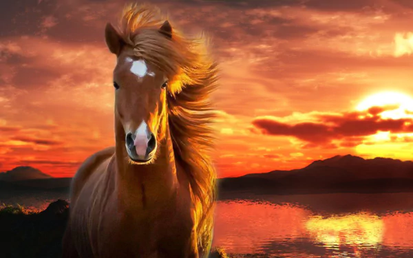 HD desktop wallpaper of a majestic horse with flowing mane against a vibrant sunset over a reflective lake.