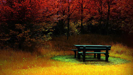 A man-made wooden table and bench set in a sunlit clearing surrounded by vibrant autumn trees, captured in an HD PC desktop wallpaper and background.