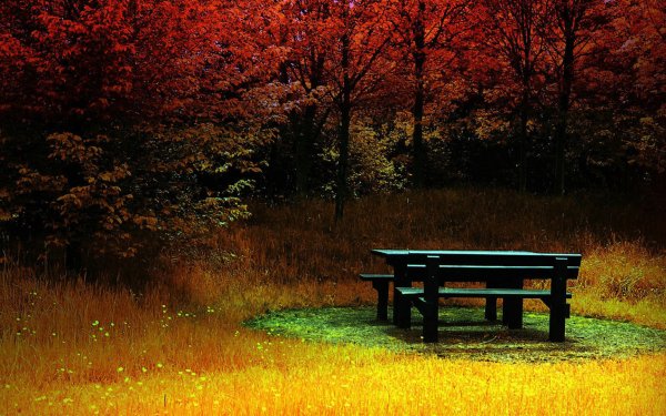 Man Made Bench Table HD Wallpaper | Background Image