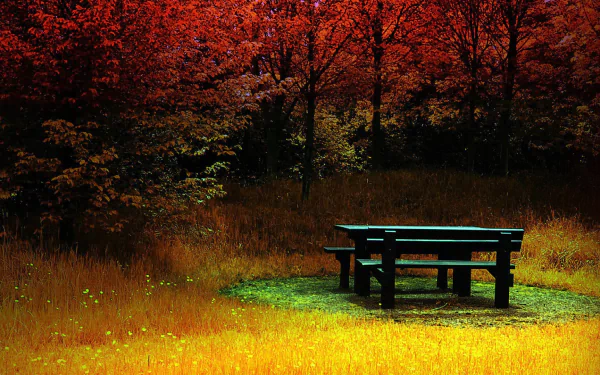  Bench and table