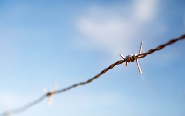Man Made Barb Wire Wire HD Wallpaper | Background Image