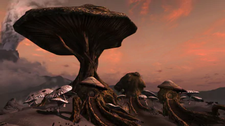 video game The Elder Scrolls HD Desktop Wallpaper | Background Image