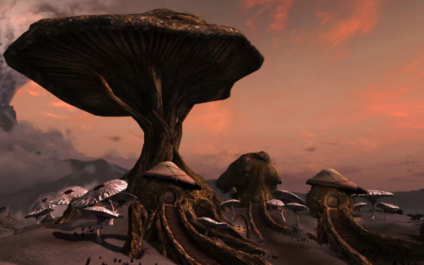 video game The Elder Scrolls HD Desktop Wallpaper | Background Image