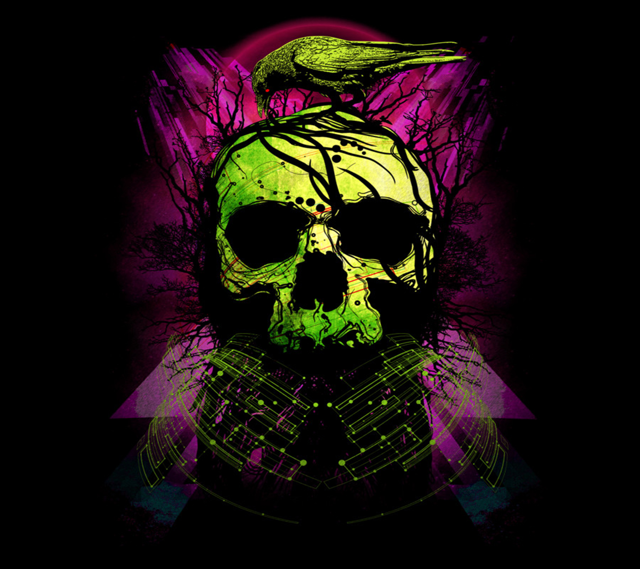 Skull HD Wallpaper | Background Image | 2160x1920 | ID:503640