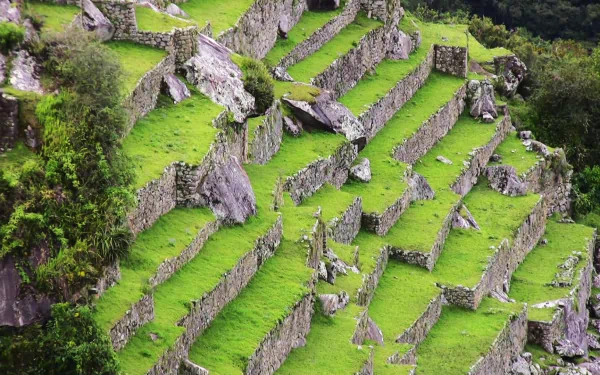 Scenic view of the terraced ruins of Machu Picchu, showcasing lush greenery surrounding the ancient stone structures. A striking HD desktop wallpaper and background.