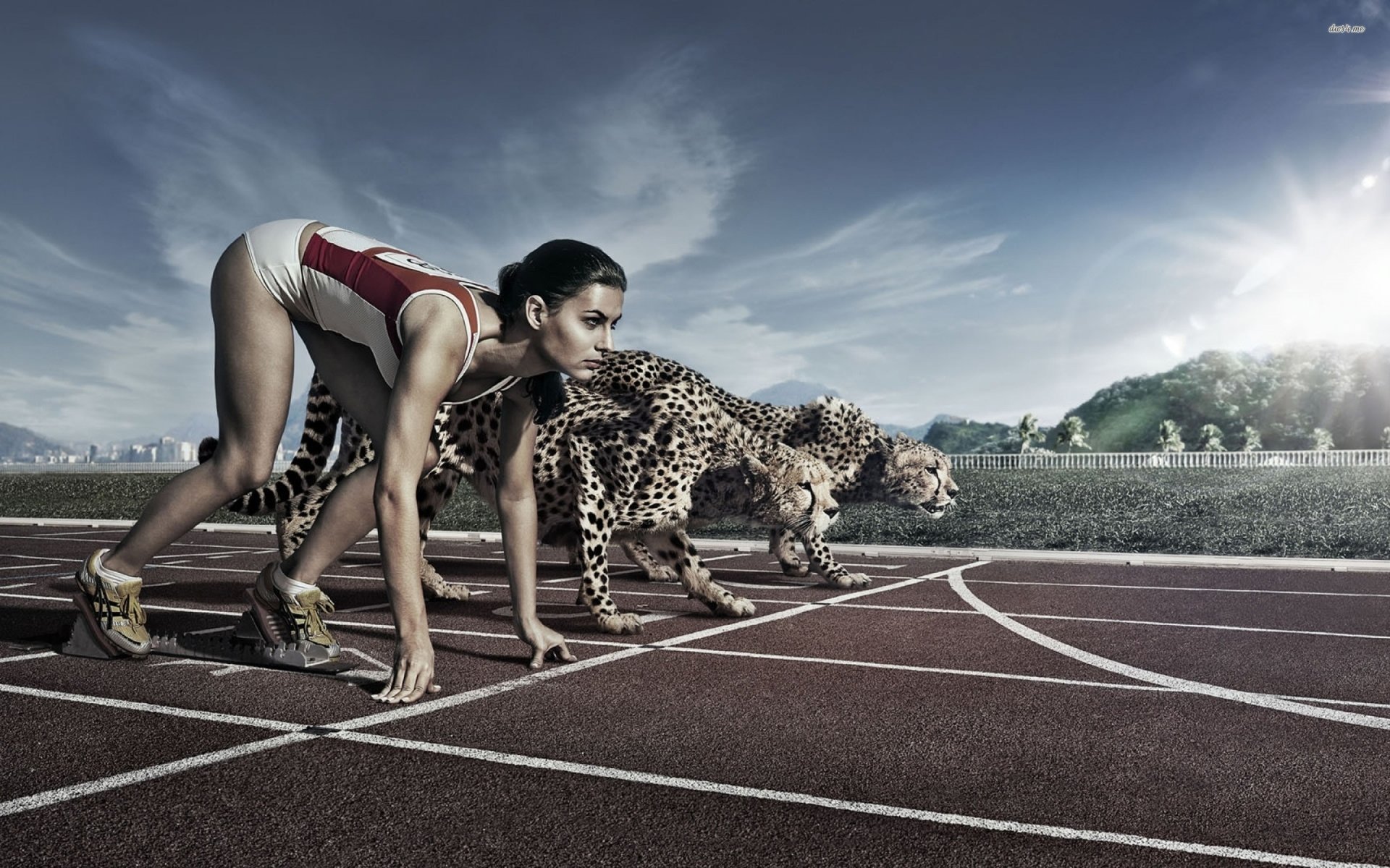 HD desktop wallpaper shows a female athlete poised to race alongside two cheetahs on a track, blending humor and athletics in a dynamic, high-energy scene.