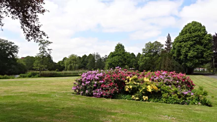 flower nature azalea HD Desktop Wallpaper | Background Image