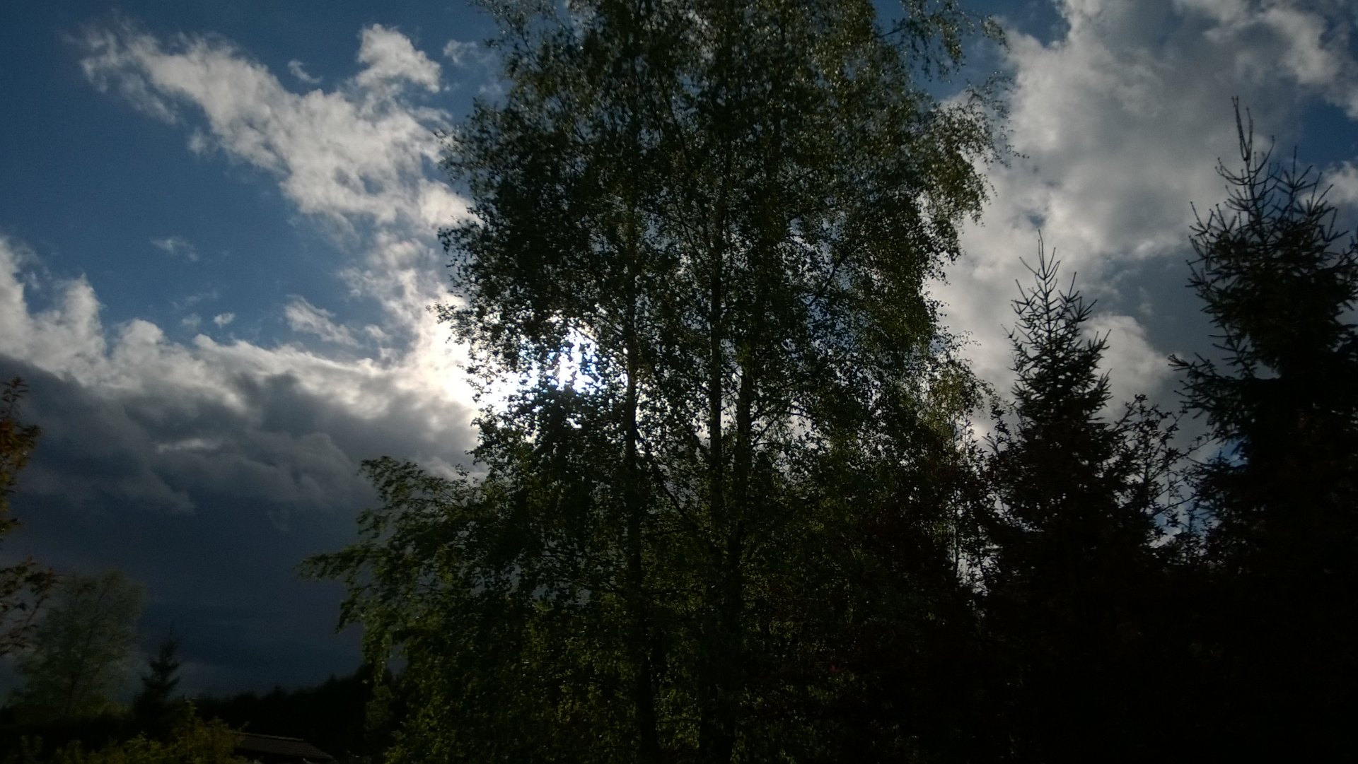 Tree and sky by Niarck