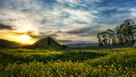man made barn HD Desktop Wallpaper | Background Image