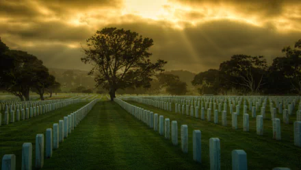religious cemetery HD Desktop Wallpaper | Background Image