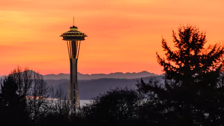 man made Space Needle HD Desktop Wallpaper | Background Image