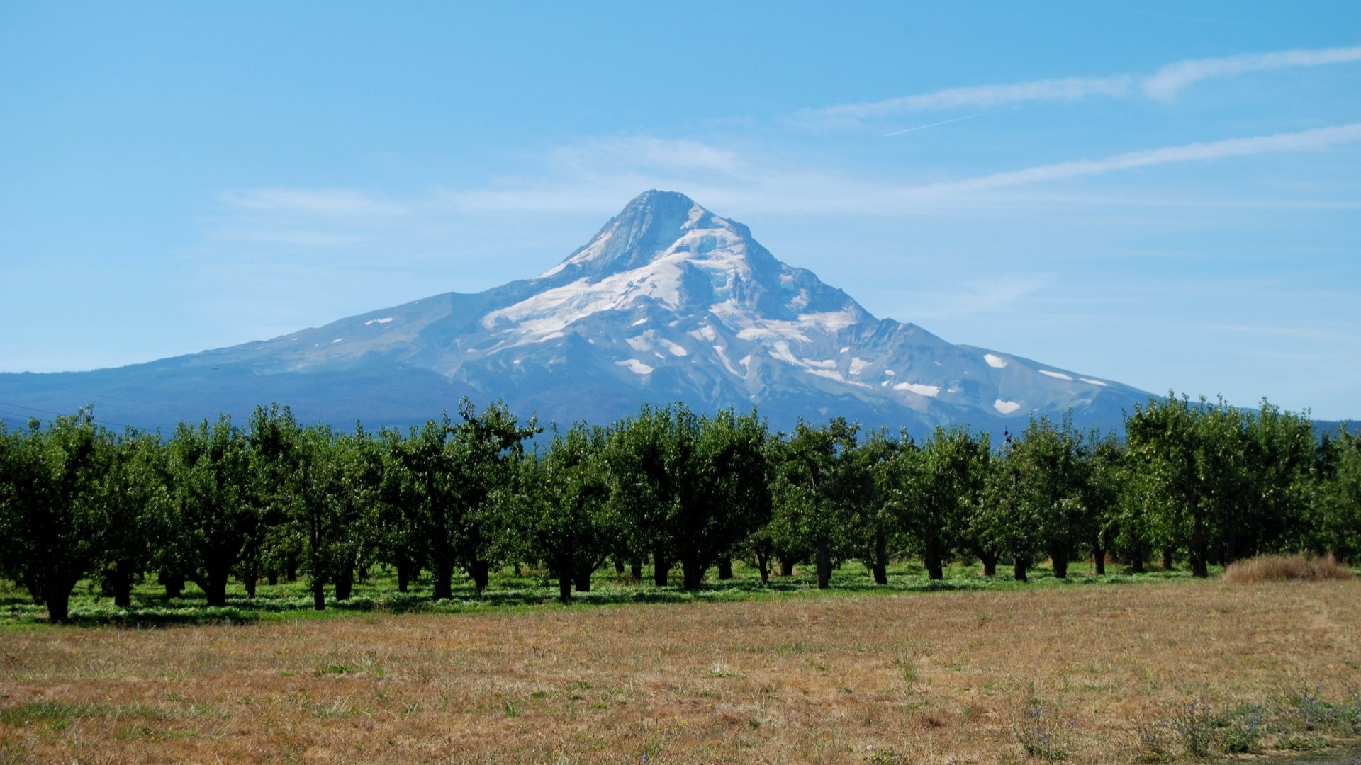Download Nature Mount Hood HD Wallpaper
