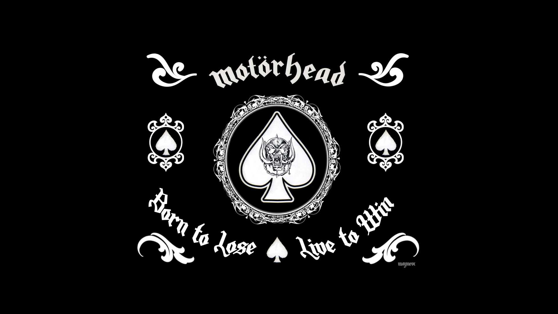 Music Motörhead HD Wallpaper | Background Image