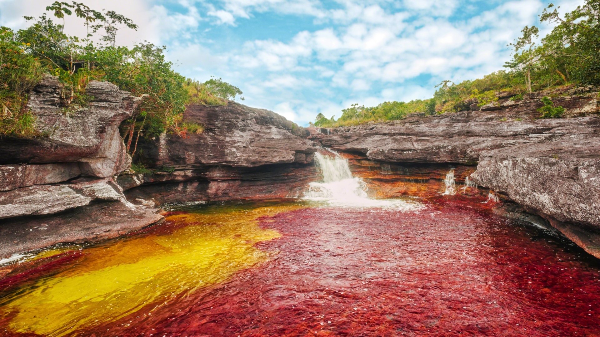 Vivid red and yellow waters flow through rocky landscapes under a blue sky at Caño Cristales, captured in HD for a stunning nature desktop wallpaper.
