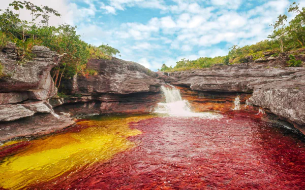 Vivid red and yellow waters flow through rocky landscapes under a blue sky at Caño Cristales, captured in HD for a stunning nature desktop wallpaper.