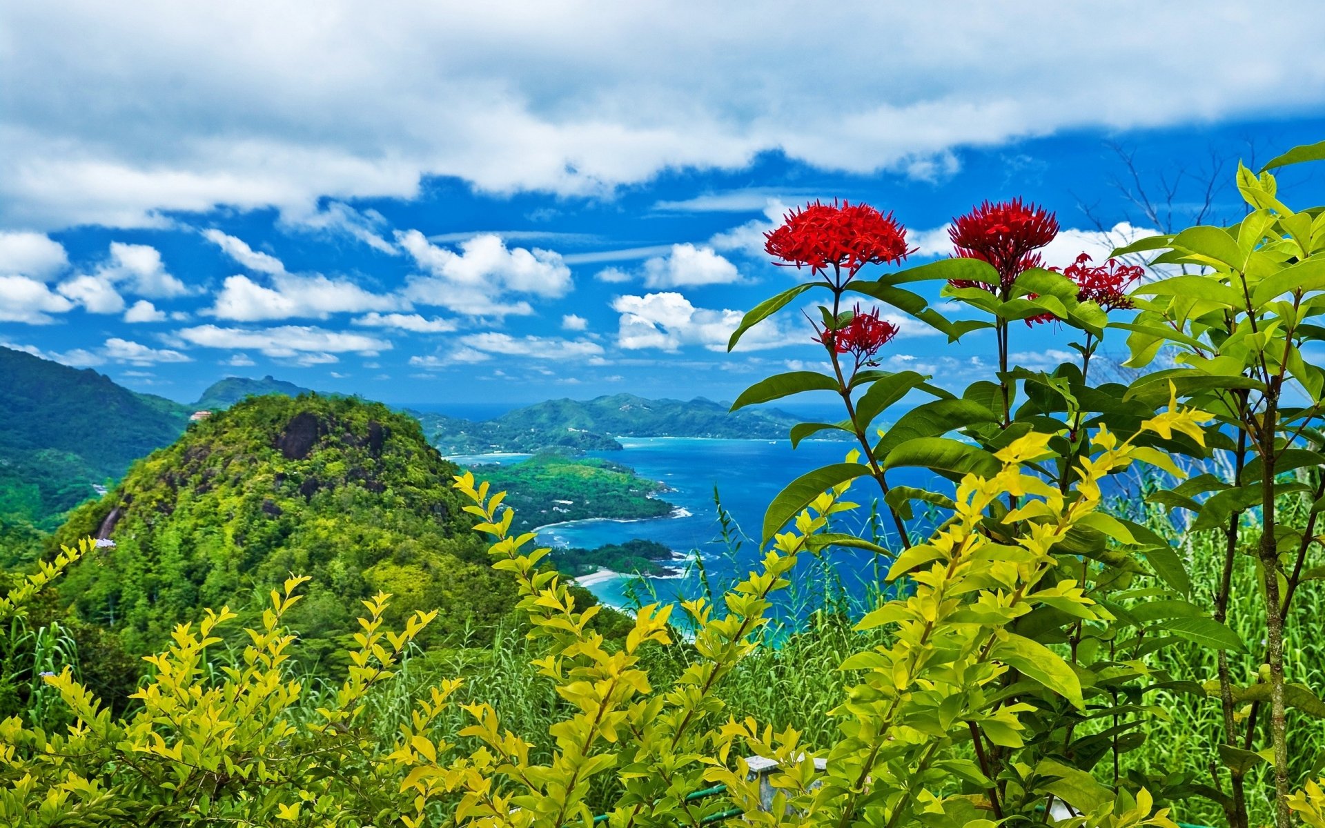 HD PC desktop wallpaper featuring a vibrant landscape with lush green hills, bright red flowers, and a blue sky dotted with white clouds over a distant lake.