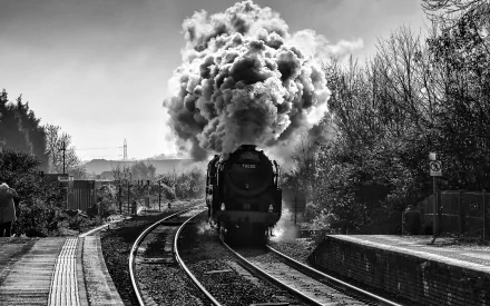 A steam train billows smoke as it travels along the tracks, surrounded by trees and a scenic backdrop, creating a striking black and white railroad wallpaper.