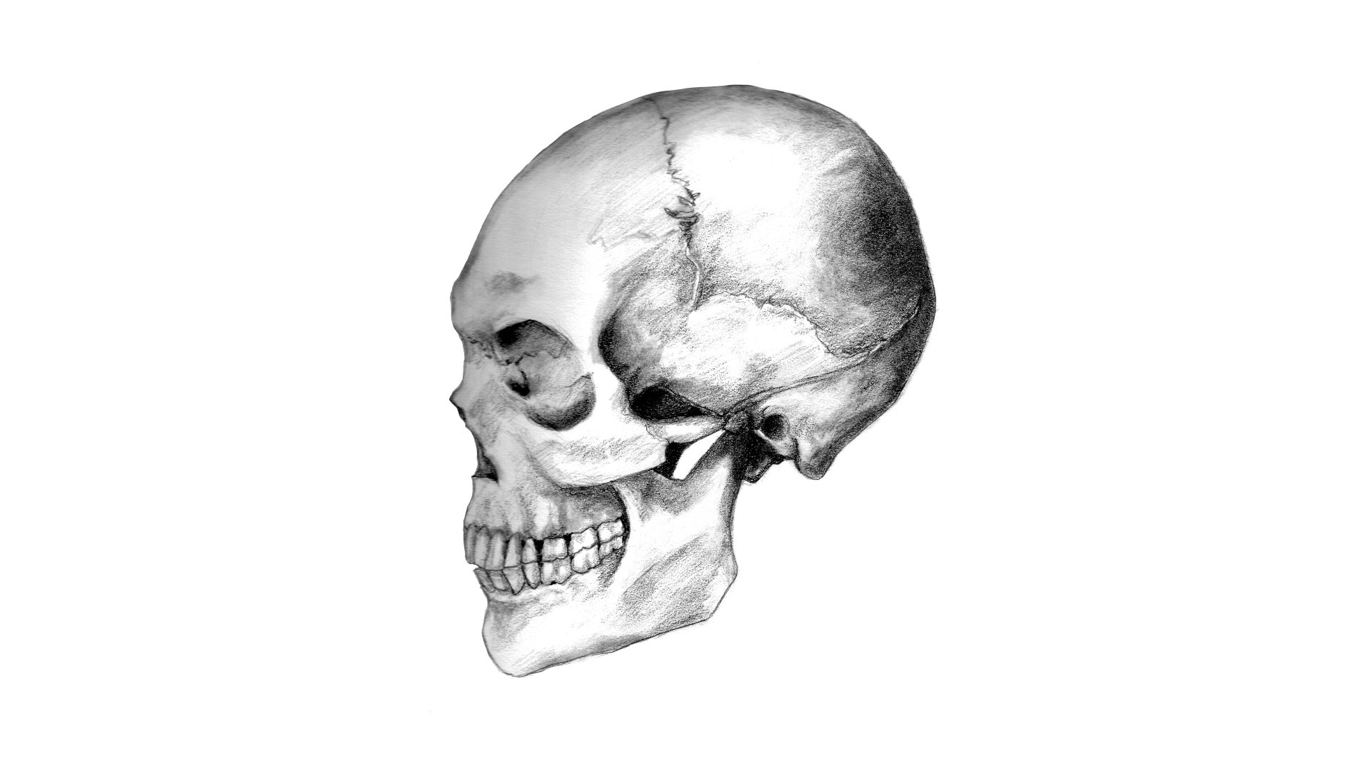 Download Dark Skull 8k Ultra HD Wallpaper