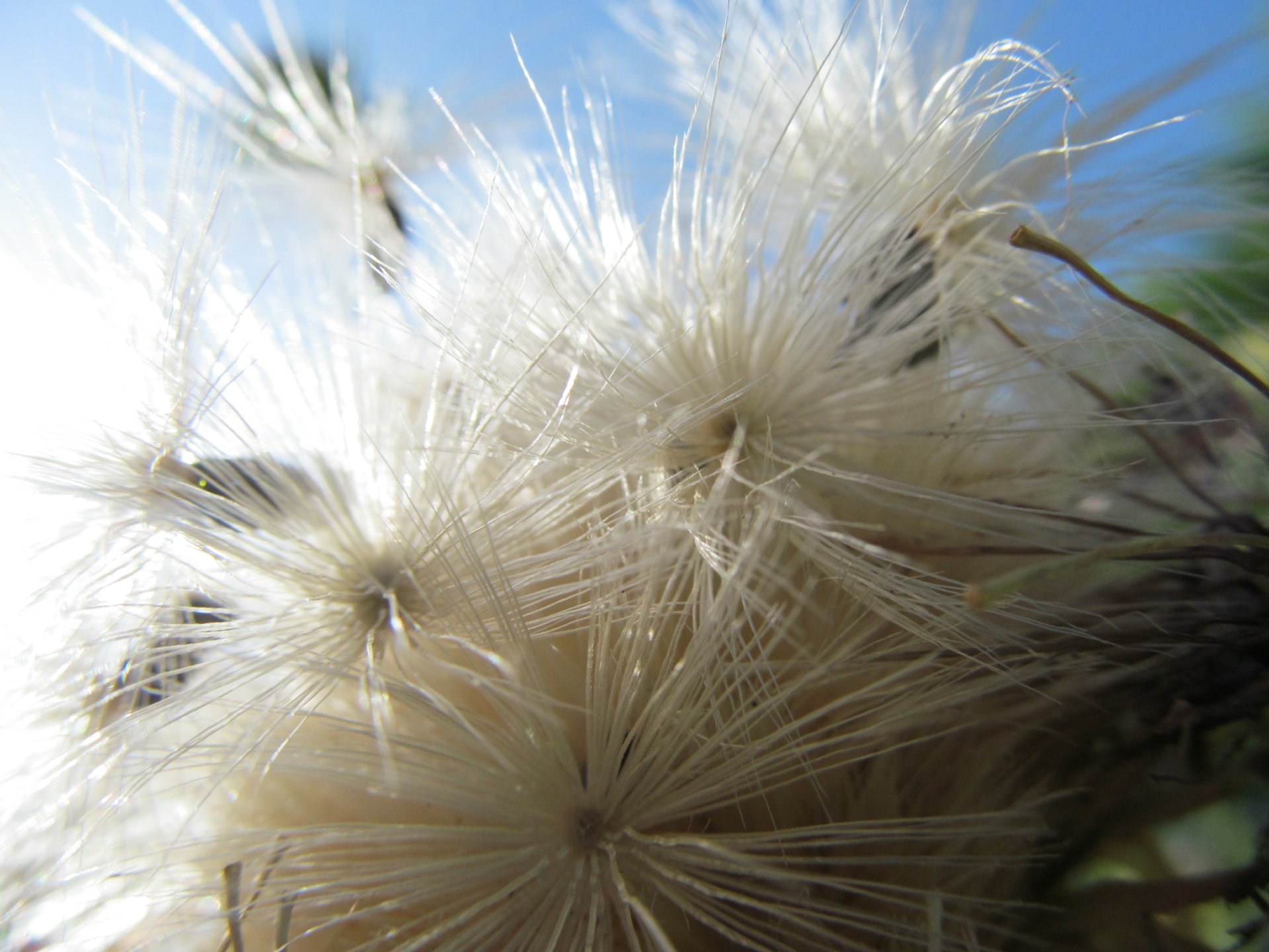 regrat by AlphaSystem