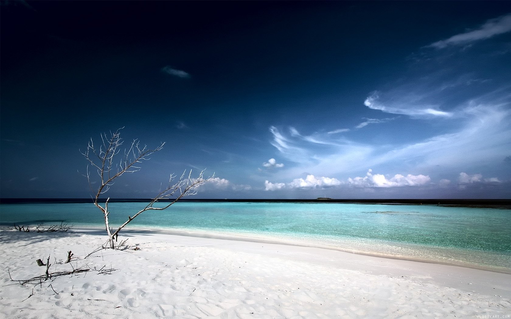A serene beach scene featuring soft white sand, a lone tree, and calm turquoise waters under a clear blue sky, making it a stunning nature-themed HD desktop wallpaper.
