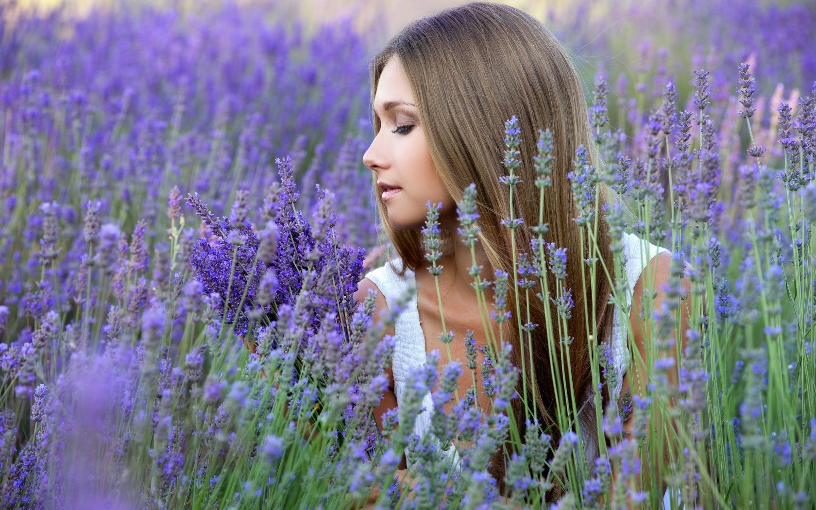 Tranquil Woman in Lavender Field - HD Wallpaper