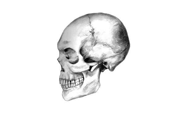 dark skull HD Desktop Wallpaper | Background Image