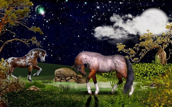 Animal Horse Landscape Moonlight HD Wallpaper | Background Image