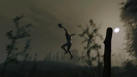 video game The Forest HD Desktop Wallpaper | Background Image