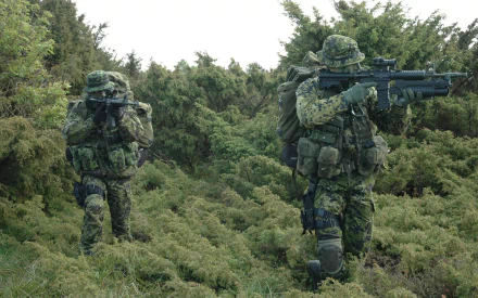 Two soldiers in camouflage gear move through dense greenery, showcasing military readiness and stealth. This HD desktop wallpaper captures a dynamic moment in a tactical environment.