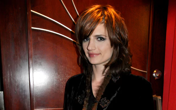actress Canadian Celebrity Stana Katic HD Desktop Wallpaper | Background Image