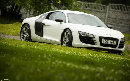 A sleek white Audi R8 parked on lush green grass, capturing its dynamic design and elegance. This high-definition image serves as a stunning PC desktop wallpaper or background.