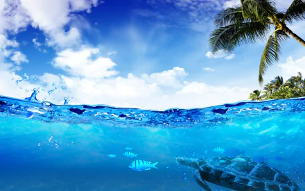HD PC desktop wallpaper background: nature underwater split-view — sunny sky and palm trees above clear blue water, with tropical fish and a sea turtle below.