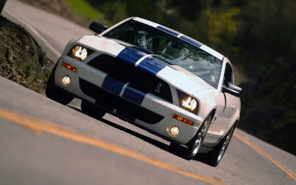 HD PC desktop wallpaper featuring a white Ford Mustang Shelby Cobra GT 500 with blue racing stripes driving on a winding road.
