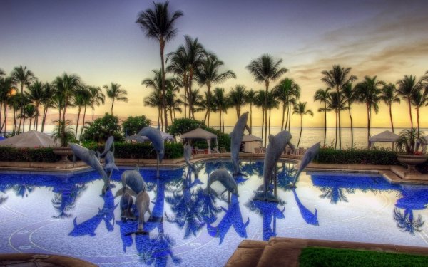 Man Made Resort Tropics Pool Dolphin Palm Tree Sea HD Wallpaper | Background Image