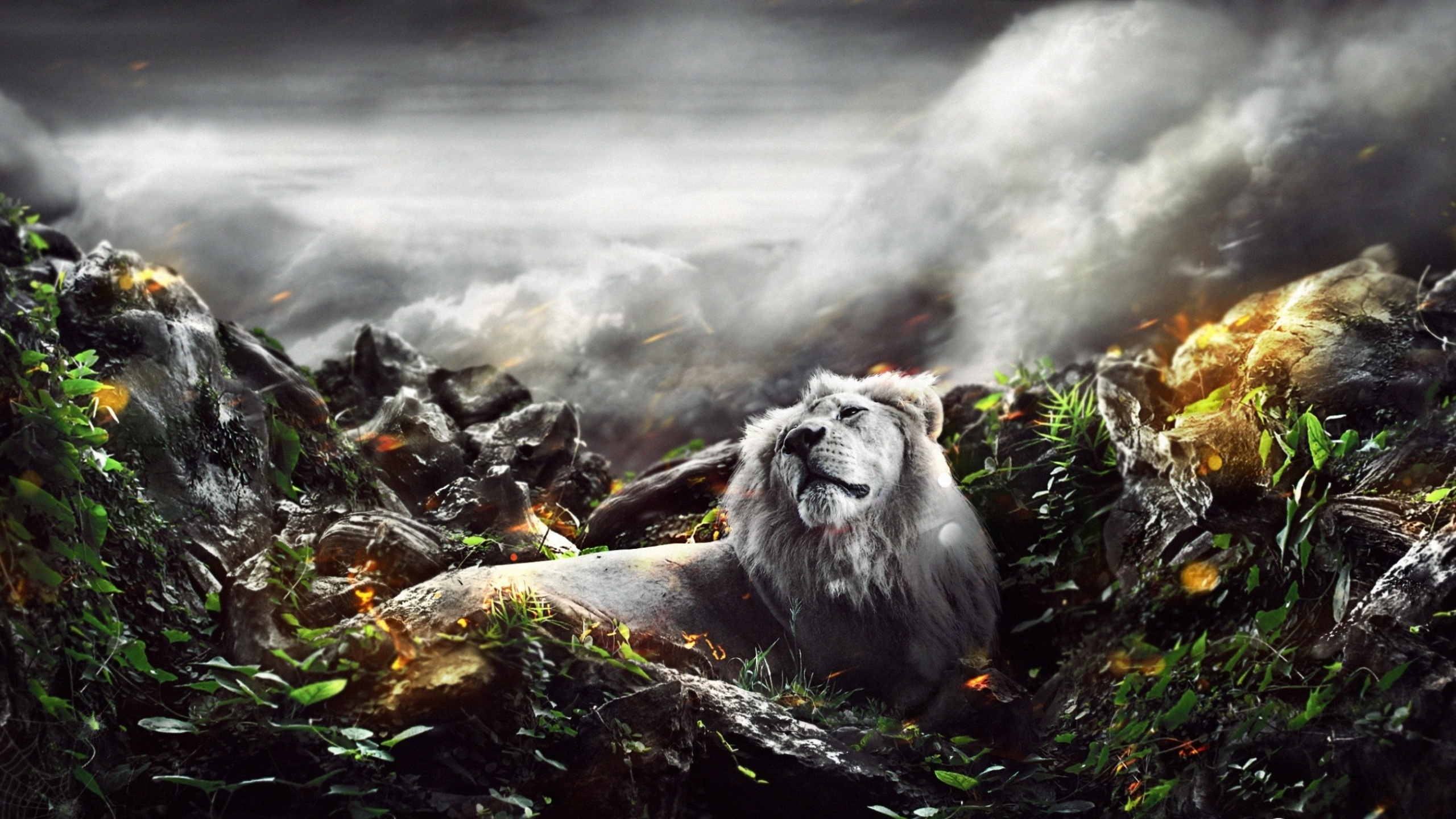 Majestic Lion: HD Wallpaper for Animal Lovers