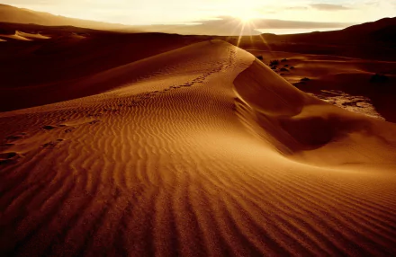 sand dune nature desert HD Desktop Wallpaper | Background Image